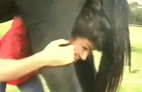 giphy.webp