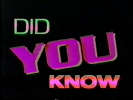 Guess What Did You Know GIF