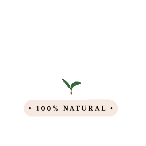 Tea Sticker by bioteahouse