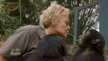 france-3 #france3tv GIF