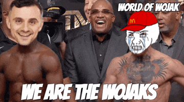 Conor Mcgregor Ufc GIF by World of Wojak
