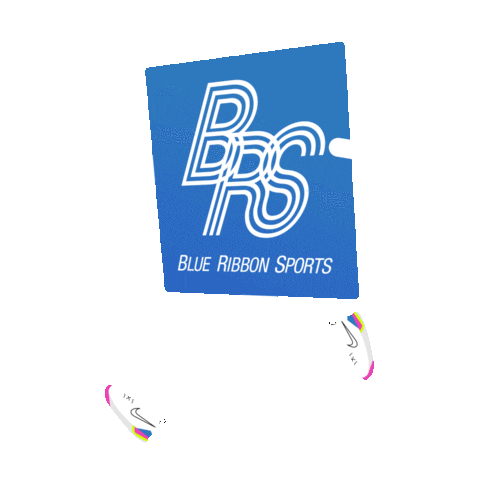 blue ribbon sports logo