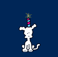 Independence Day Love GIF by Chippy the Dog