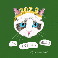New Year Cat GIF by Susanne Lamb