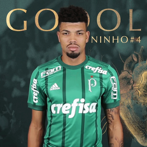 gol GIF by SE Palmeiras