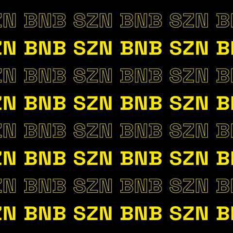 Bnb Szn GIF by BNB Chain