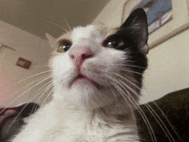 Go There GIF