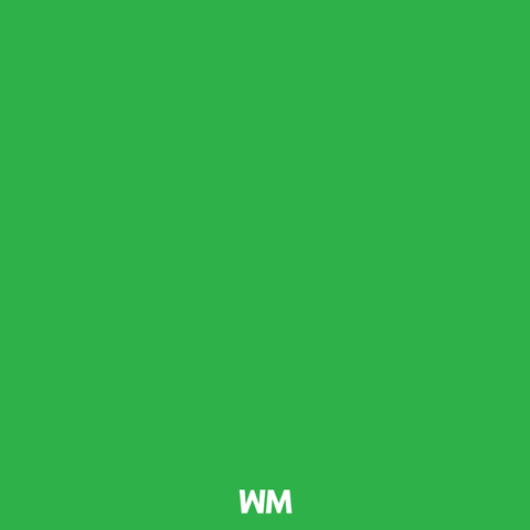 Text gif. Capitalized white text over a green background reads, “Unafraid, Unapologetic, Ungovernable.”

