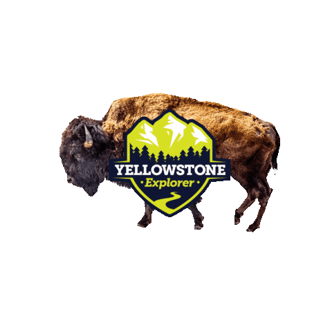 Yellowstone Explorer Sticker