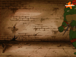 Tmnt GIF by Teenage Mutant Ninja Turtles