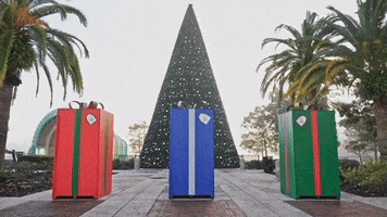 Stop Motion Christmas GIF by City of Orlando