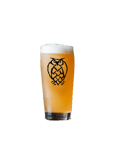 Beer Owl Sticker by Night Shift Brewing for iOS & Android GIPHY