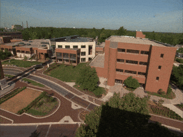 Looking Good Love It GIF by Ball State University
