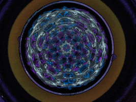 Cymatics GIF