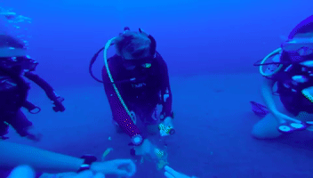Scuba GIF