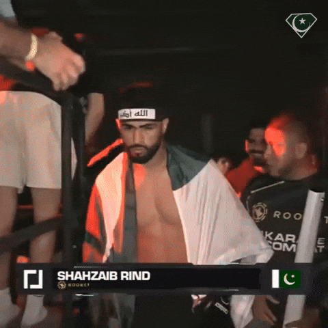 Pakistan Pakistan Flag GIF