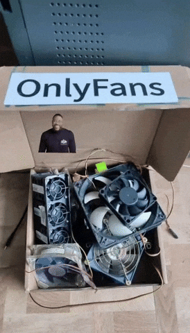 Fan Onlyfans GIF