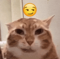 Cyann32 GIF