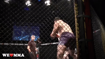 fight ko GIF by We love MMA