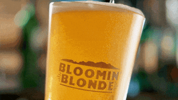 beer cheers GIF by Outback Steakhouse