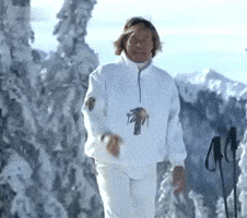 Ski Skiing GIF by DJ Staub.Sepp