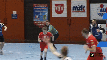 Kempa Kralik GIF