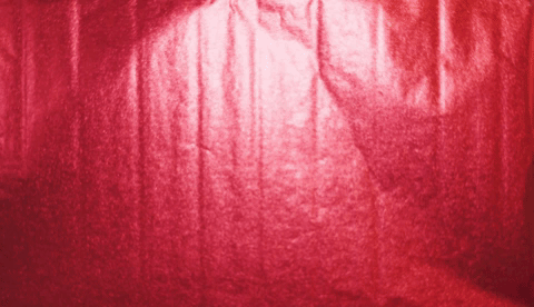 giphy.gif?cid=ecf05e4716878f1708a033e52b3a824421e676234df0cf88&rid=giphy.gif
