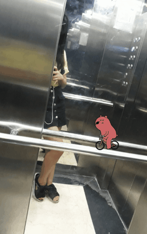 T GIF