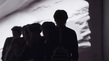 bangtan boys GIF