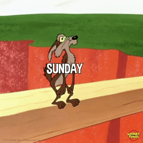 Cartoon gif. Standing on a board that straddles a canyon, Wile E. Coyote is labeled with the word, “Sunday.” He looks hopelessly up at the sky as a shadow forms over him, then he is hit by a giant rock labeled with the word, “Monday.”