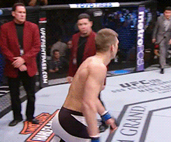 ufc fight night