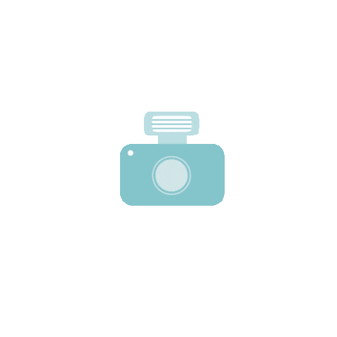 Camera Sticker