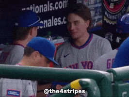 New York Mets Baseball GIF