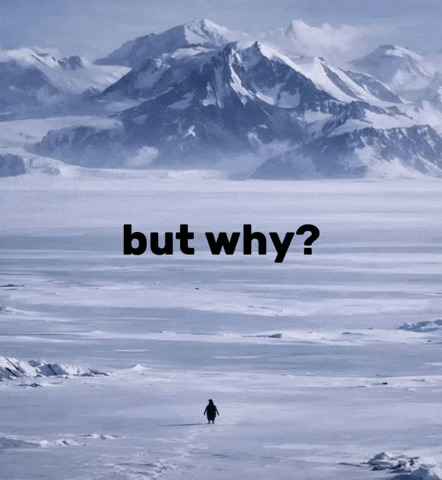Penguin Freedom GIF