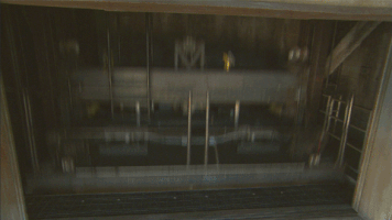 Disney Youth Education Series GIF