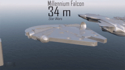 comparison