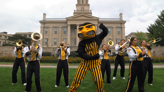 hawkeyes meaning, definitions, synonyms