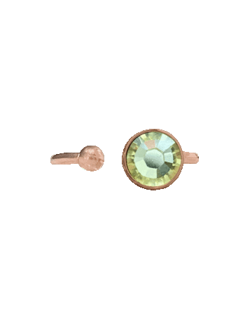 04Anillo Sticker by Limalla