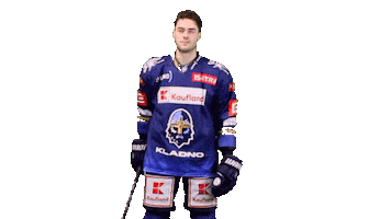 Hockey Hokej Sticker by Rytíři Kladno