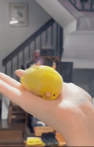 Animated GIF