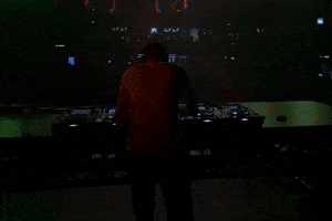 Dj Festival GIF by armodine