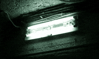 200w.gif