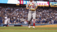 St Louis Cardinals Baseball GIF by MLB - Find & Share on GIPHY