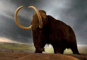Epic Mammoth GIF