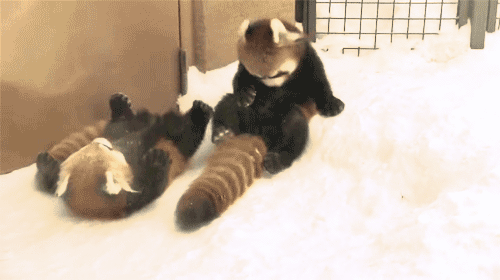 cuteness