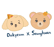 Dk 세븐틴 Sticker