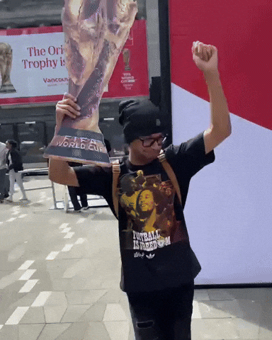 Fifa World Cup GIF