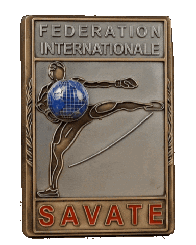 France Fr Sticker by kibaroglusportgym