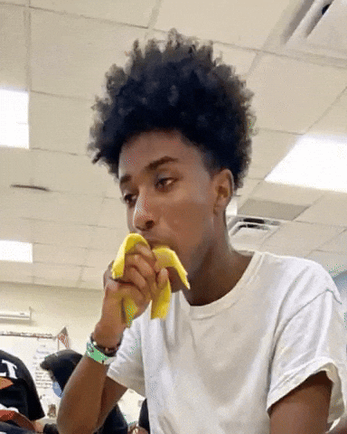 Sammy Harrisonburg GIF