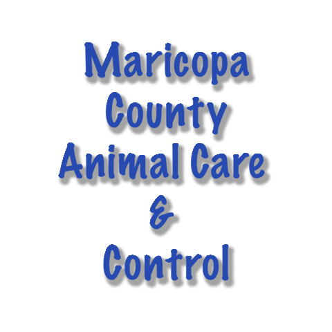 Sticker by Good Vibes Dogtography